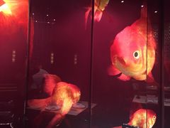 景观位-8餐厅(新葡京酒店)