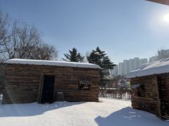 -沈阳奥体冰雪嘉年华