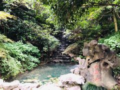 -十八棵（老龙井）御茶园(老龙井店)