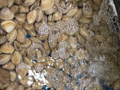 -鑫渔港海鲜本地菜·山海关浑锅(东戴河店)