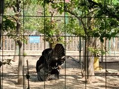 -人民广场-地下停车场