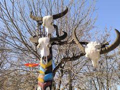 -呀路古热带植物园