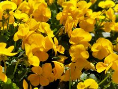 -长春公园(普阳街道)