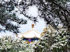 -故宫博物院(故宫)