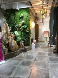 -花间禅净·瑜伽