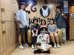 -白兔子密室(长寿路店)
