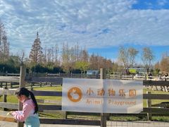 -前小桔亲子创意农场·草莓采摘·露营烧烤