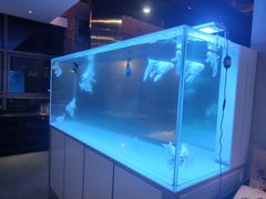 -黄鱼炙夜(华家池店)