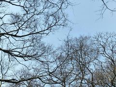 -上海佘山国家森林公园西佘山园