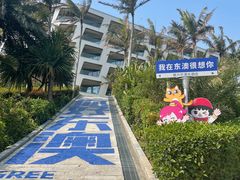 -东澳岛