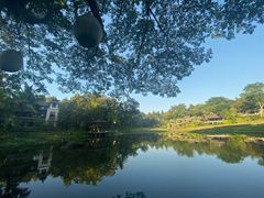 -四季酒店下午茶