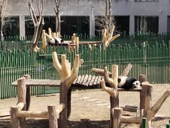 -沈阳森林动物园