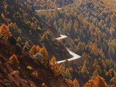 -秦岭风景区
