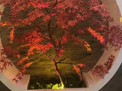 -金狮麟·新豫菜(金码大厦店)