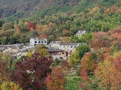 -塔川景区