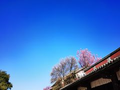 -天龙八部武侠城