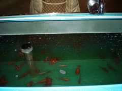 nEO_IMG_PC140110-唐宫海鲜舫