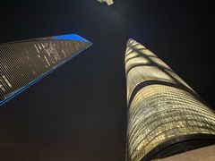 -陆家嘴空中步行连廊