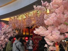 -茶马花街(城西银泰城店)