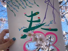 -桃花堤公园