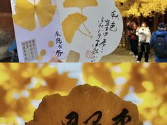 -承恩寺