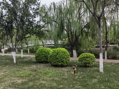 -南翠屏公园