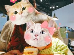 -派悦坊·甜品·蛋糕(日坛店)