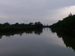 -大湾区中央湿地公园