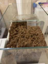 -香秀空间科技抗衰·美容中心