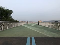 景点-飞凤山奥体公园
