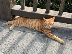 -恩施大峡谷