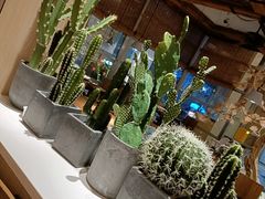 -蜜桃餐厅·伴山(湖滨商业街店)