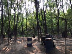 -亲兄弟真人CS团建拓展基地