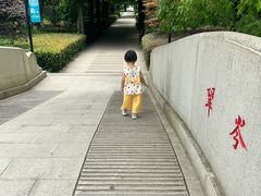 -白马涧龙池景区