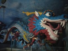 -东方巨龟苑景区