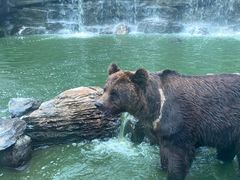 -北京野生动物园