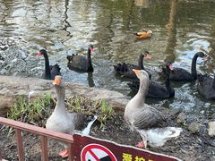 -济南野生动物世界