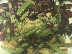 -胡桃里音乐酒馆(石家庄店)