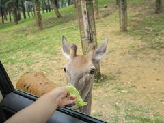 -秦皇岛野生动物园