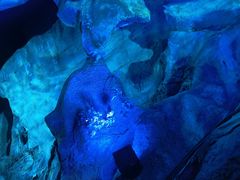 -兰溪地下长河