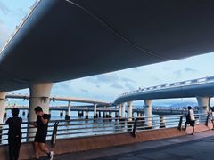 -演武大桥观景平台