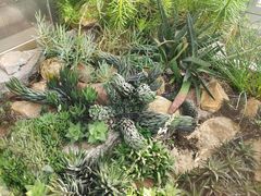 -国家植物园南园