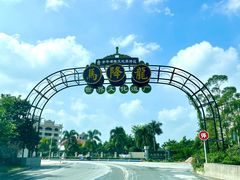 -开平碉楼文化旅游区马降龙景区