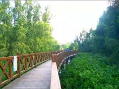 -大亚湾红树林城市湿地公园