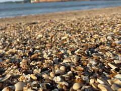 -松兰山海景大酒店·海鲜中餐厅