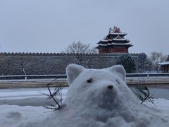 -故宫博物院(故宫)