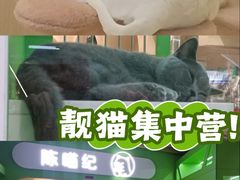 -杭州湖滨in77