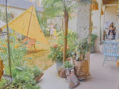 -Jo's Garden
