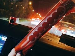 -和禄德冰糖葫芦