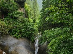 -芦芽山旅游度假区